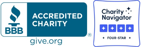 charity navigator 4 star